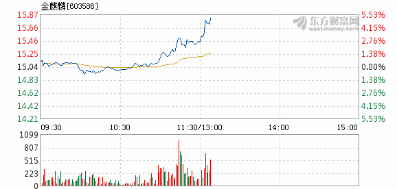 金麒麟5号最新净值解析与市场动态分析