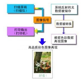 新奥彩资料大全最新版,完善的执行机制解析_专家版2.334