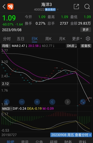 400022海洋，最新新闻与动态速览