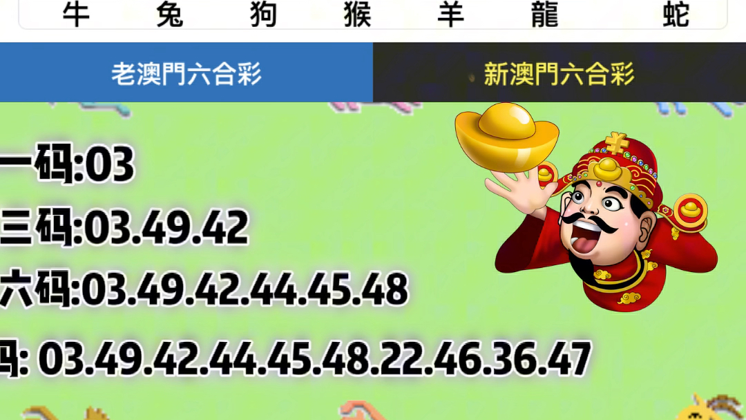 新澳门六开彩今晚开奖,确保成语解释落实的问题_win204.310