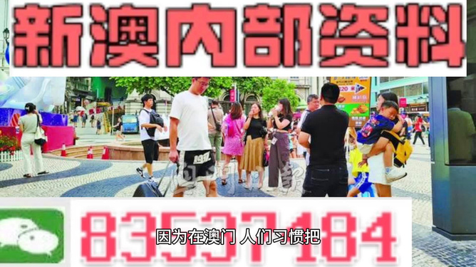 2024澳门正版资料大全资料,效率资料解释落实_精简版807.110