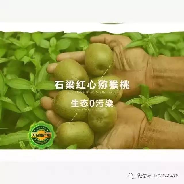 新澳今天最新资料水果爷爷,调整方案执行细节_定制版6.33