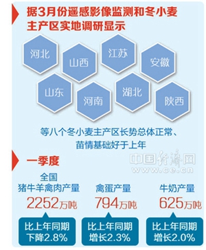 一肖一码一中一特,准确资料解释落实_基础版1.119