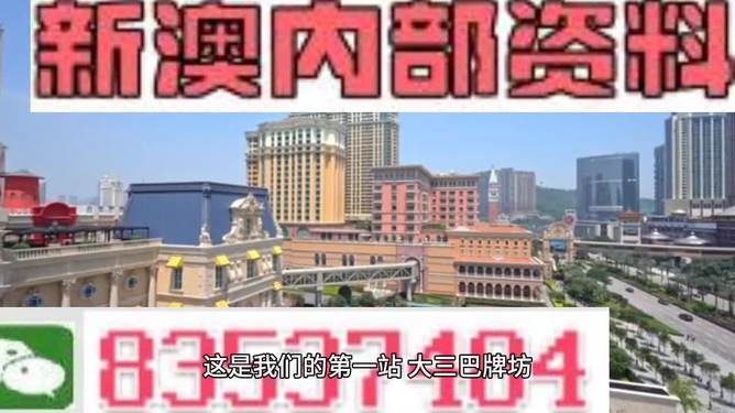 2024澳门免费资料,正版资料,最新答案解释落实_精英版301.135