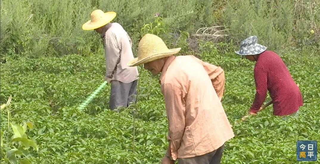 高平凯永融资最新动态解析，深度解读融资进展与市场影响