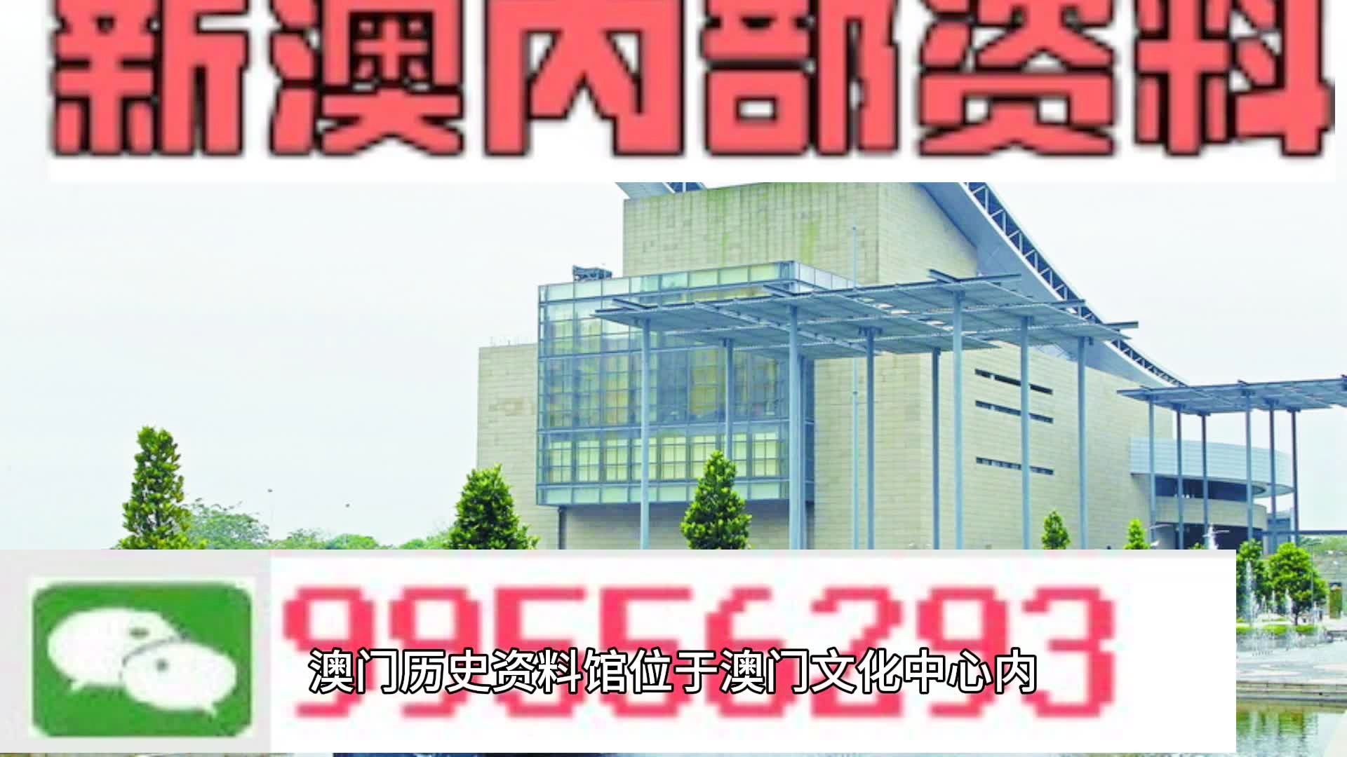 新澳门资料免费长期公开,2024,最新正品解答落实_动态版3.356