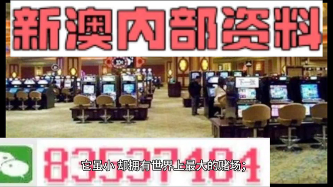 2024新澳门资料最精准免费大全,动态词语解释落实_储蓄版19.53