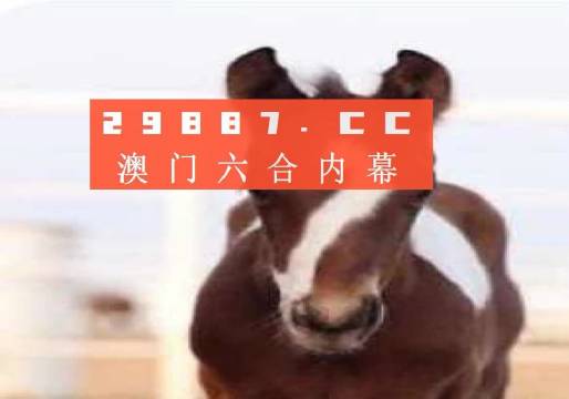 澳门一肖一码100,诠释解析落实_豪华版6.35