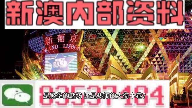 新澳门精准资料大全管家婆料,效率解答解释落实_Android176.805