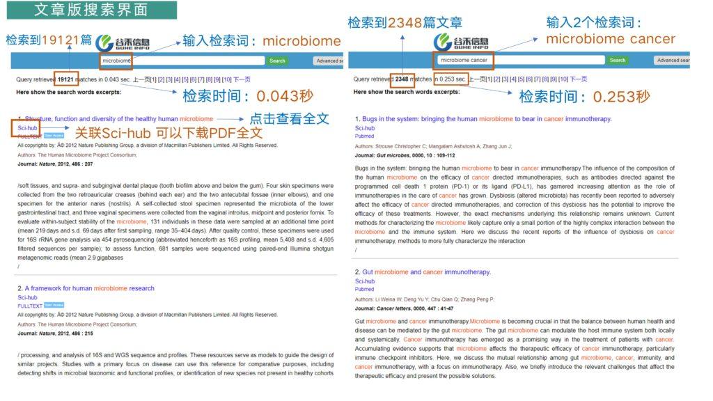 2024新澳精准资料,国产化作答解释落实_限量版5.068