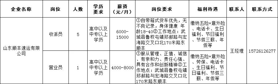 武城龙翔最新招聘信息，机遇与挑战共舞的职场舞台