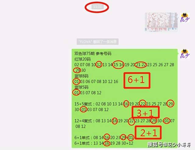 白小姐今晚特马期期准六,系统解析说明_PalmOS30.565