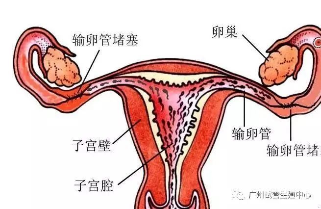 价突破。 第14页