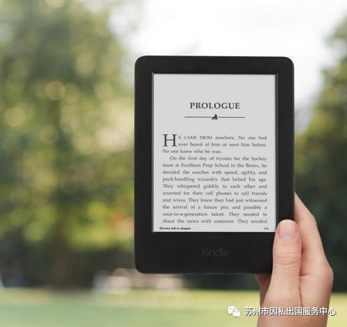 2024新澳今晚开奖号码139,未来趋势解释定义_Kindle80.498