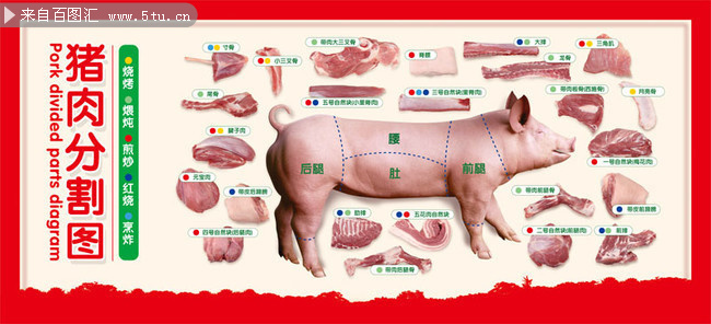 最新猪肉分割视频教程，从基础到进阶的实用指南