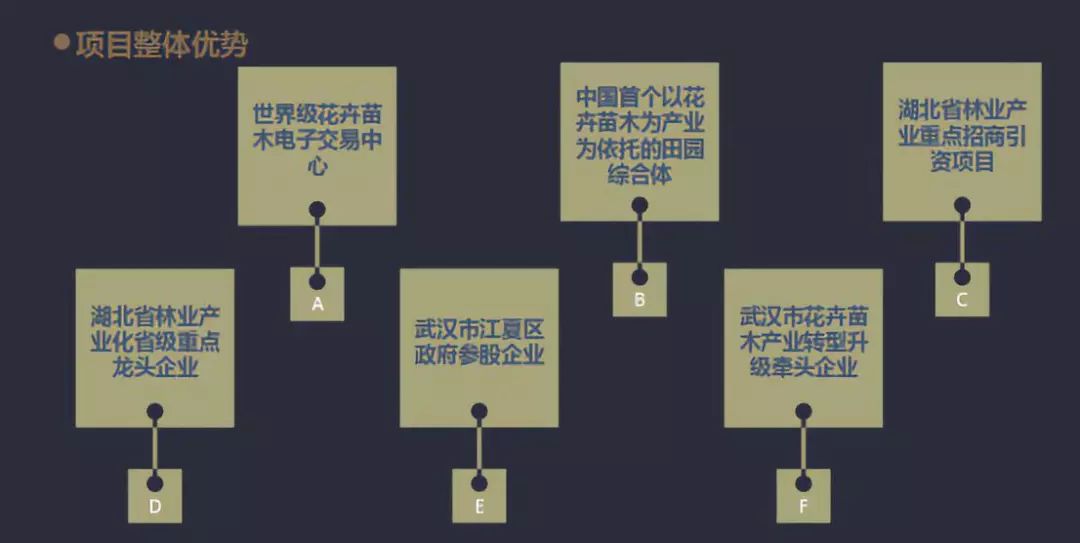 新奥天天免费资料大全正版优势,可持续发展实施探索_体验版85.305