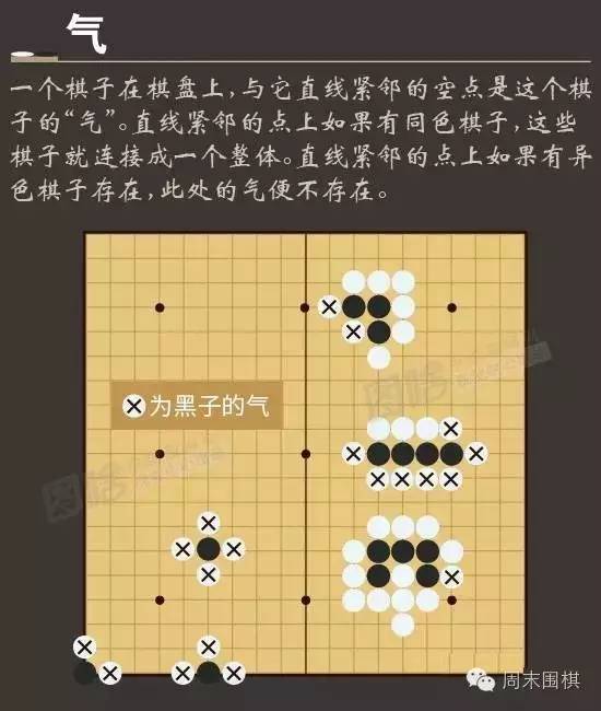 2024新澳兔费资料琴棋,仿真方案实现_静态版55.129