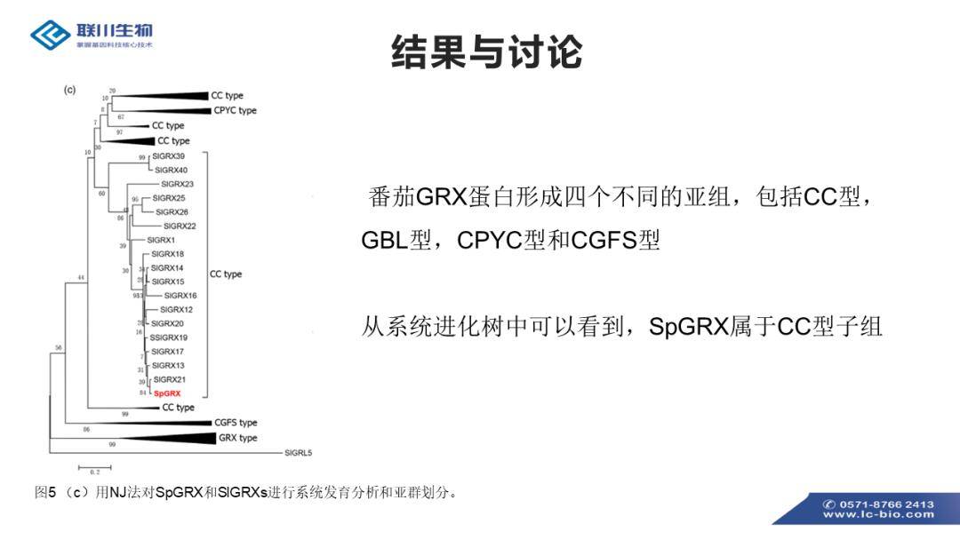 新奥免费三中三资料,适用性计划解读_U57.404