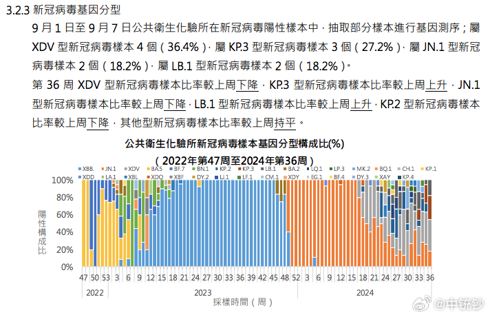 2024年新澳门开码历史记录,最新解答方案_C版96.724