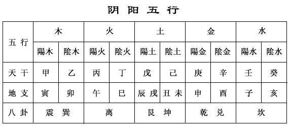 出宫有带宝,猴弟反成敌指什么生肖,专业数据解释定义_移动版79.852