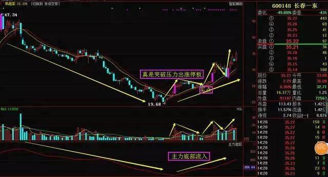 三肖必中三期必出凤凰网2023,稳健性策略评估_豪华版58.684