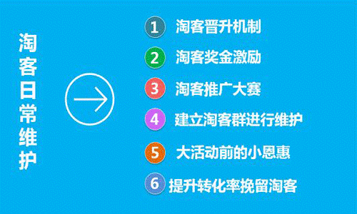 最新平台赚钱方法，探索数字时代的财富之路