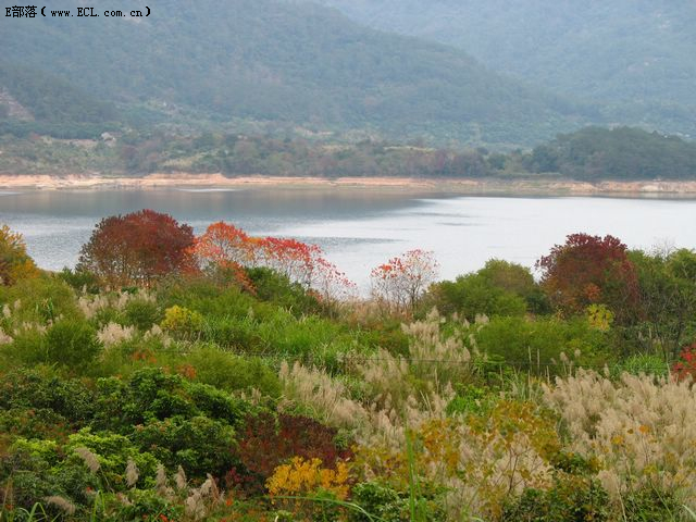 重庆酉阳坂溪水库，最新进展与美丽画卷