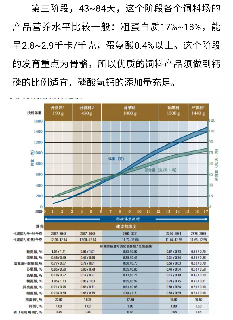 芝华最新蛋鸡存栏情况深度分析报告