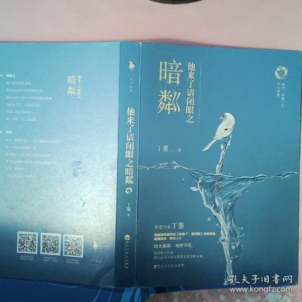 暗粼，丁墨最新力作的魅力探索