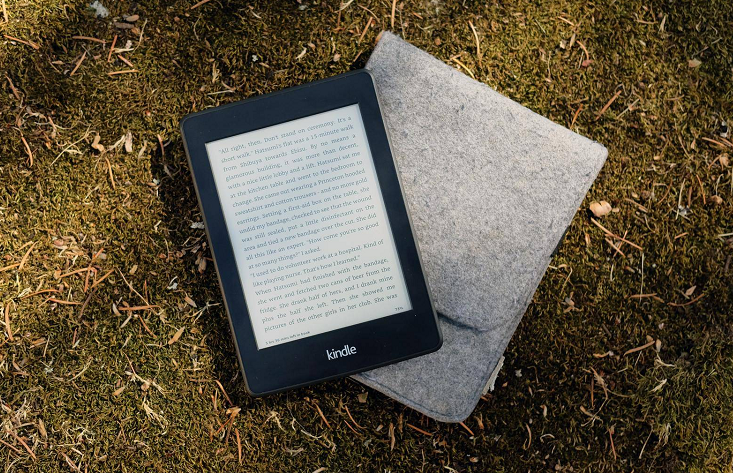 2024新奥正版资料免费提供,合理决策评审_Kindle58.282