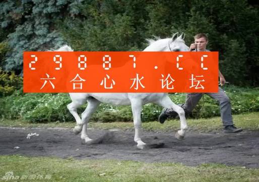 7777788888精准跑狗图,衡量解答解释落实_冒险款26.851