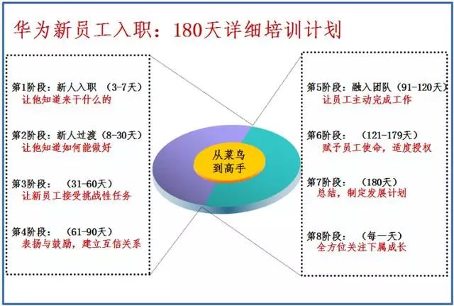 新澳天天开奖免费资料,完善的执行机制解析_3DM56.739