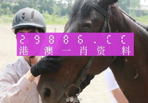 澳门今晚必中一肖一码准确9995,全面解答解释落实_完整版69.526