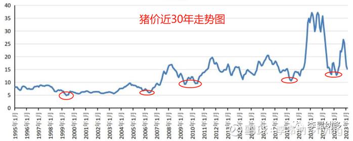 猪的行情最新预测走势分析