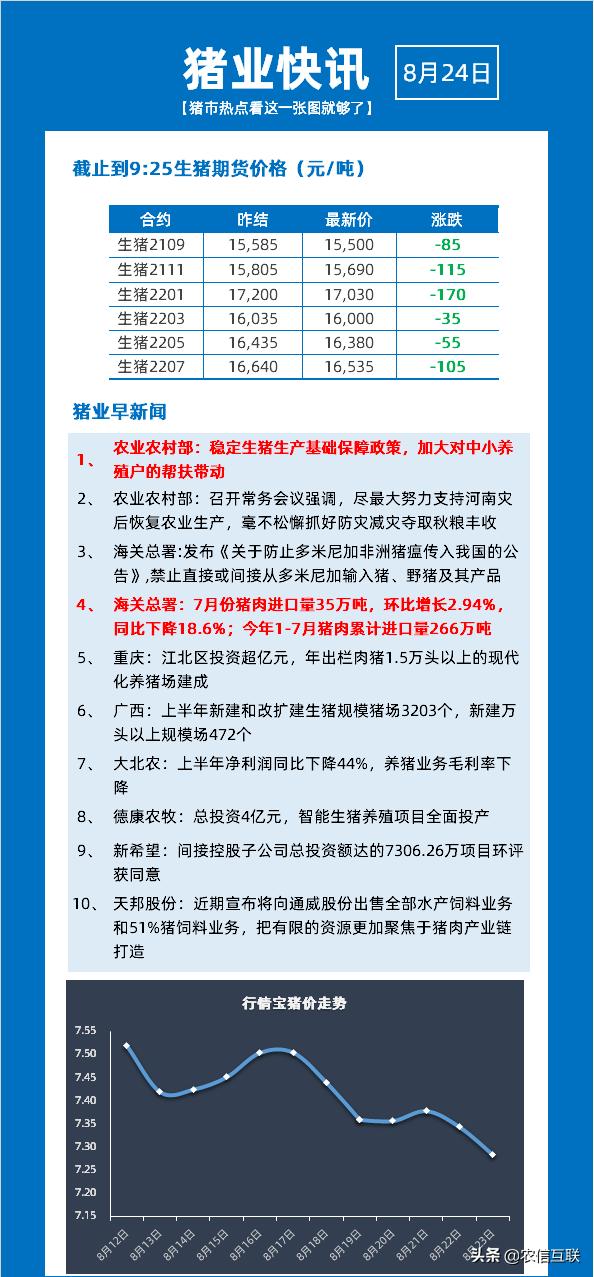 发改委猪价最新消息，市场动态与价格走势分析