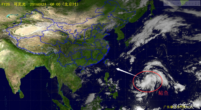 最新台风动态追踪，台风当前位置揭晓！