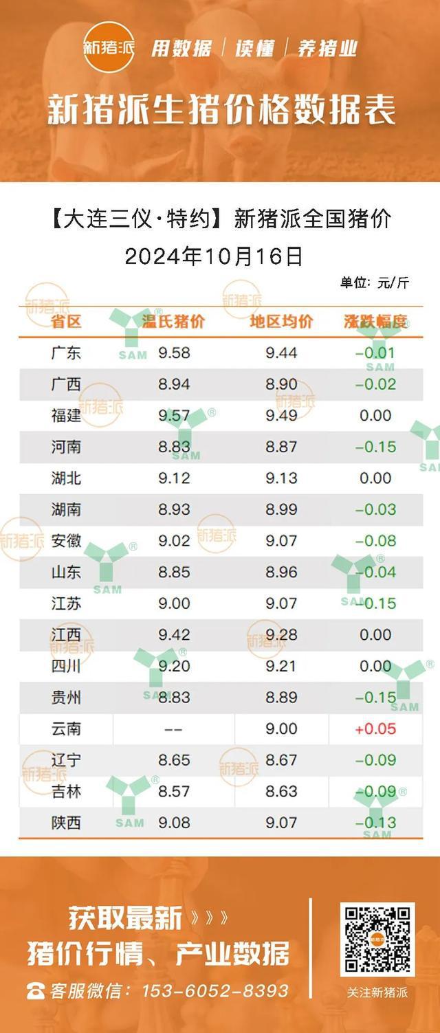 今日仔猪价格走势分析