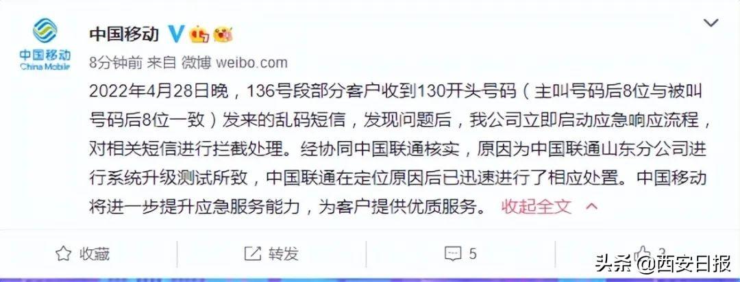 短信在线测试，现代通讯技术应用的全新探索